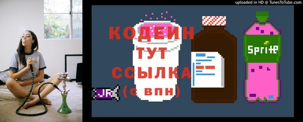 дживик Струнино