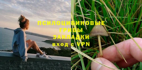 марки lsd Белокуриха